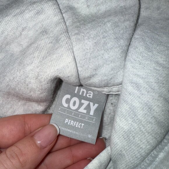 Aritzia TNA Cozy Fleece Perfect Hoodie M Light Heather Grey Pullover Sweatshirt - Picture 5 of 7